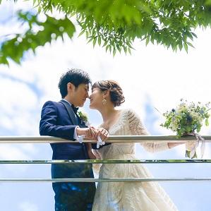 23年7～8月■サマープラン